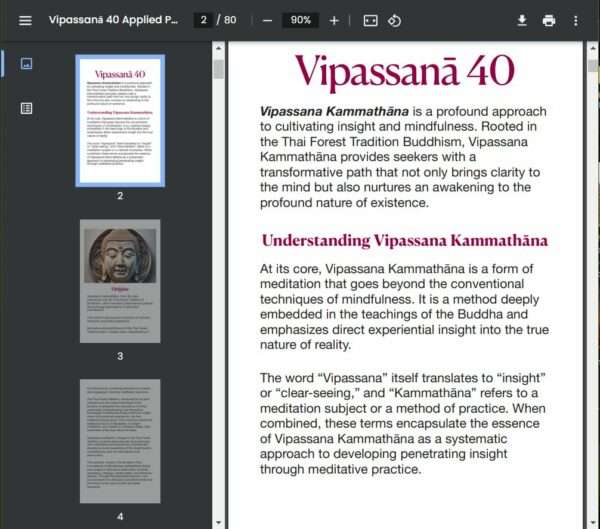 Vipassana 40 Practices Applied Methods by Ajarn Spencer Littlewood