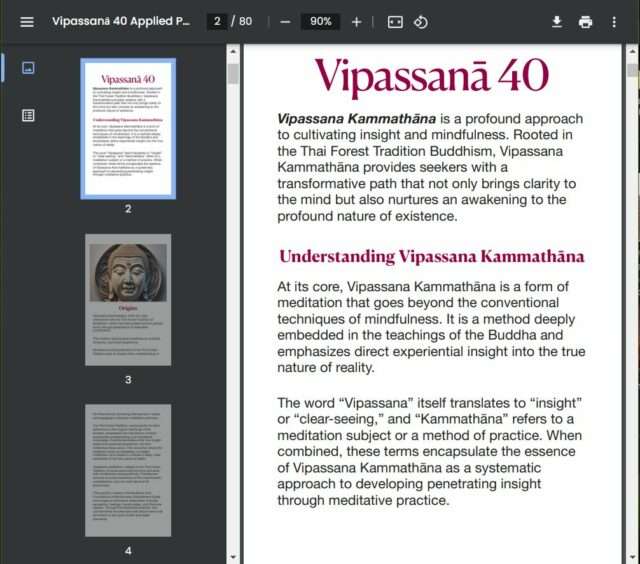 Vipassana 40 Practices Applied Methods by Ajarn Spencer Littlewood